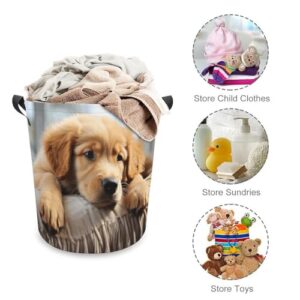 Laundry Hamper Lazy Dog Puppy Freestanding Laundry Basket Thickened Waterproof Collapsible Clothes Hamper Storage for Clothes Toys Dorm And Family