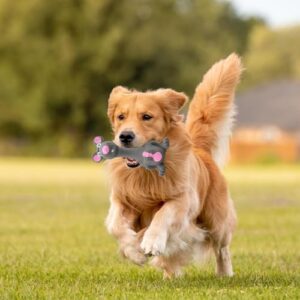 Puppy Latex Teething Toys - Animals Chew Teething Toys, Soft Rubber Chew Toys | Biting Training Playing Toys, Interactive Squeaky Toys, Dentals Chew Sticks, Oral Health Puppy Toys for Indoor Outdoor