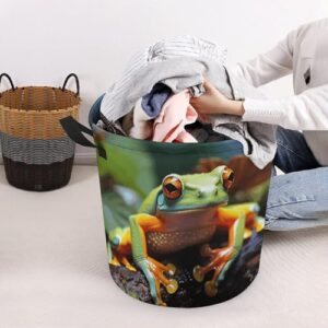 Laundry Hamper Lovely Tree Frogs Freestanding Laundry Basket Thickened Waterproof Collapsible Clothes Hamper Storage for Clothes Toys Dorm And Family