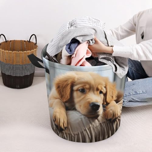 Laundry Hamper Lazy Dog Puppy Freestanding Laundry Basket Thickened Waterproof Collapsible Clothes Hamper Storage for Clothes Toys Dorm And Family