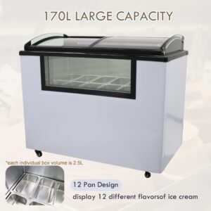 TECHTONGDA Gelato Freezer Commercial Ice Cream Chest Refrigerator Display Case Chamber Showcase Freezer With 12 Pan 170L 480W