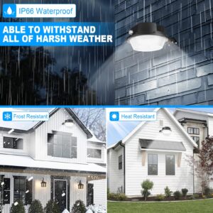 RIGIDON 100W LED Barn Light 10000LM Dusk to Dawn Outdoor Lighting with Photocell Yard Area Lights 6000K Daylight IP66 Waterproof Security Lights AC 85-265V Street Light for Garden, Garage, Yard