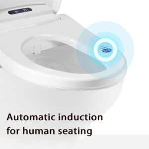 Electric Bidet Toilet Seat Round,Dryer, Feminine & Child Wash, Remote Control, with Unlimited Heated Water, Easy To Clean Toilet Seat, No Impact Seat, Elongated White,for Women and Aged