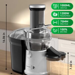 Juicer, 1200W Juicer Machine with 3" Feed Chute for Whole Fruits and Vegs, Dual Speeds Centrifugal Juice Extractor, High Juice Yield, Full Copper Motor, Easy to Clean, BPA Free