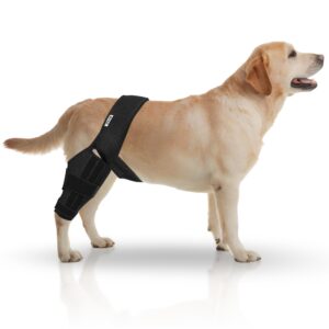 yspet premium dog acl knee brace for torn acl, ccl - dog knee brace with adjustable straps -universal for all four legs for recovery and stability