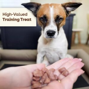 Pupford Freeze Dried Training Treats + Dental Chews Bundle for Dogs & Puppies (Chicken 4oz, Dental Chews 14 Count)