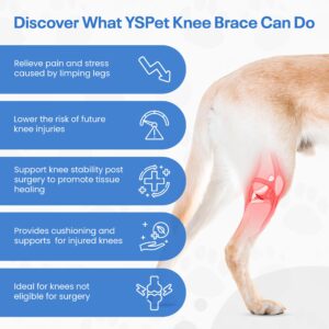 YSPet Premium Dog Knee Brace for Torn ACL/CCL - Universal ACL Knee Brace for All Four Legs - Adjustable Straps – Ideal Dog Leg Braces for Back Leg Support and Recovery.