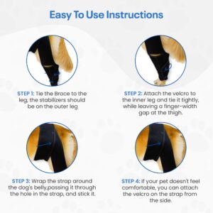 YSPet Premium Dog Knee Brace for Torn ACL/CCL - Universal ACL Knee Brace for All Four Legs - Adjustable Straps – Ideal Dog Leg Braces for Back Leg Support and Recovery.