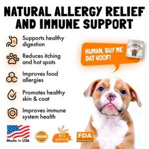 Wild Alaskan Salmon Oil for Dogs & Cats 32 oz and Allergy Relief Chews for Dogs & Immune & Digestive Supplement 120 Chews