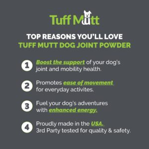 Dog Joint Support Supplement Powder - Energy & Mobility, Beef Flavor - Hip & Joint Supplement with Glucosamine - Inflammation Fighter for Dogs - Dog Supplements & Vitamins are 3rd-Party Quality Tested