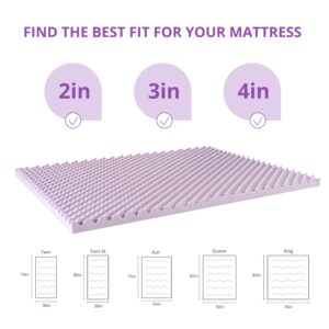 EGOHOME Egg Crate Memory Foam Mattress Topper 3 Inch Queen, Cooling Gel Infused Foam Mattress Topper for Pressure Relief, CertiPUR-US Certified Bed Topper, Purple, 60"×80"