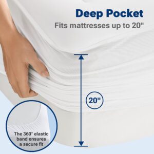 Sleep Philosophy Waterproof Mattress Protector Queen Size Mattress Pad, 3M Scotchgard, Quilted & Fitted Microfiber Mattress Topper, Noisless & Deep Pocket Fits Up to 20" Mattress, Queen White