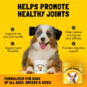 Wild Alaskan Salmon Oil for Dogs & Cats 32 oz and Turmeric Curcumin Hip & Joint Dogs Supplement Anti-Inflammatory Support for Arthritis & Mobility 120 Chews