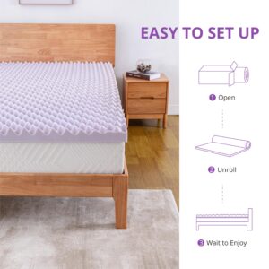 EGOHOME Egg Crate Memory Foam Mattress Topper 3 Inch Queen, Cooling Gel Infused Foam Mattress Topper for Pressure Relief, CertiPUR-US Certified Bed Topper, Purple, 60"×80"