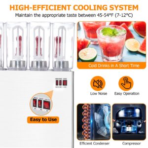 Commercial Beverage Dispenser, 4 Tanks 10.56 Gallon 40L Commercial Juice Dispenser, 10 Liter Per Tank, 380W Stainless Steel Food Grade Ice Tea Drink Dispenser with Thermostat Controller