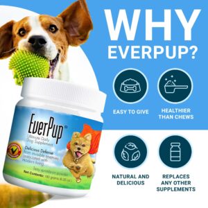 EverPup Dog Supplement, 720g – All-in-One Multivitamin with Glucosamine, Probiotics, Antioxidants for Joint, Immune & Digestive Support for All Ages