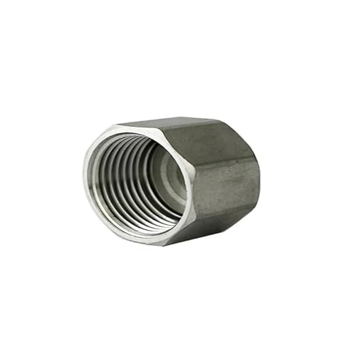 304 Stainless Steel Hexagonal Inner Wire Pipe Cap Internal Thread Wire Plug Head Internal Tooth Bulk Cap Head 6 Points Pipe Plug(1PCS_DN20)