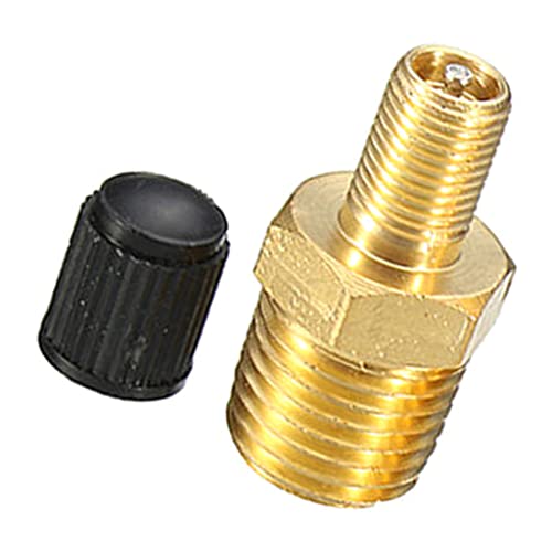 Zaagot 1/4" NPT for Tank for Anti-Corrosion Brass Schrader for Using with Air Compressor Tanks Fitting for Car Auto Brass