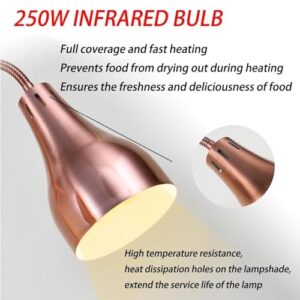 Free Standing Food Warming Lamp 2 * 250W Buffet Food Heating Lamp, 360°Adjustable Head for Buffet Kitchen Restaurant,Silver