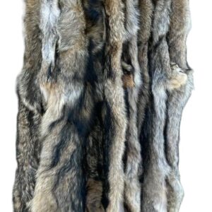 Eastern Coyote Pelt, Tanned (Premium Grade)