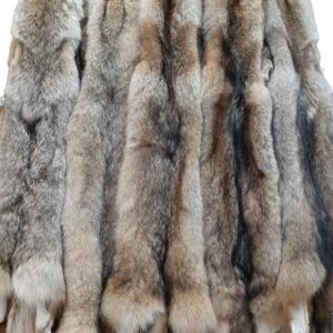 Eastern Coyote Pelt, Tanned (Premium Grade)