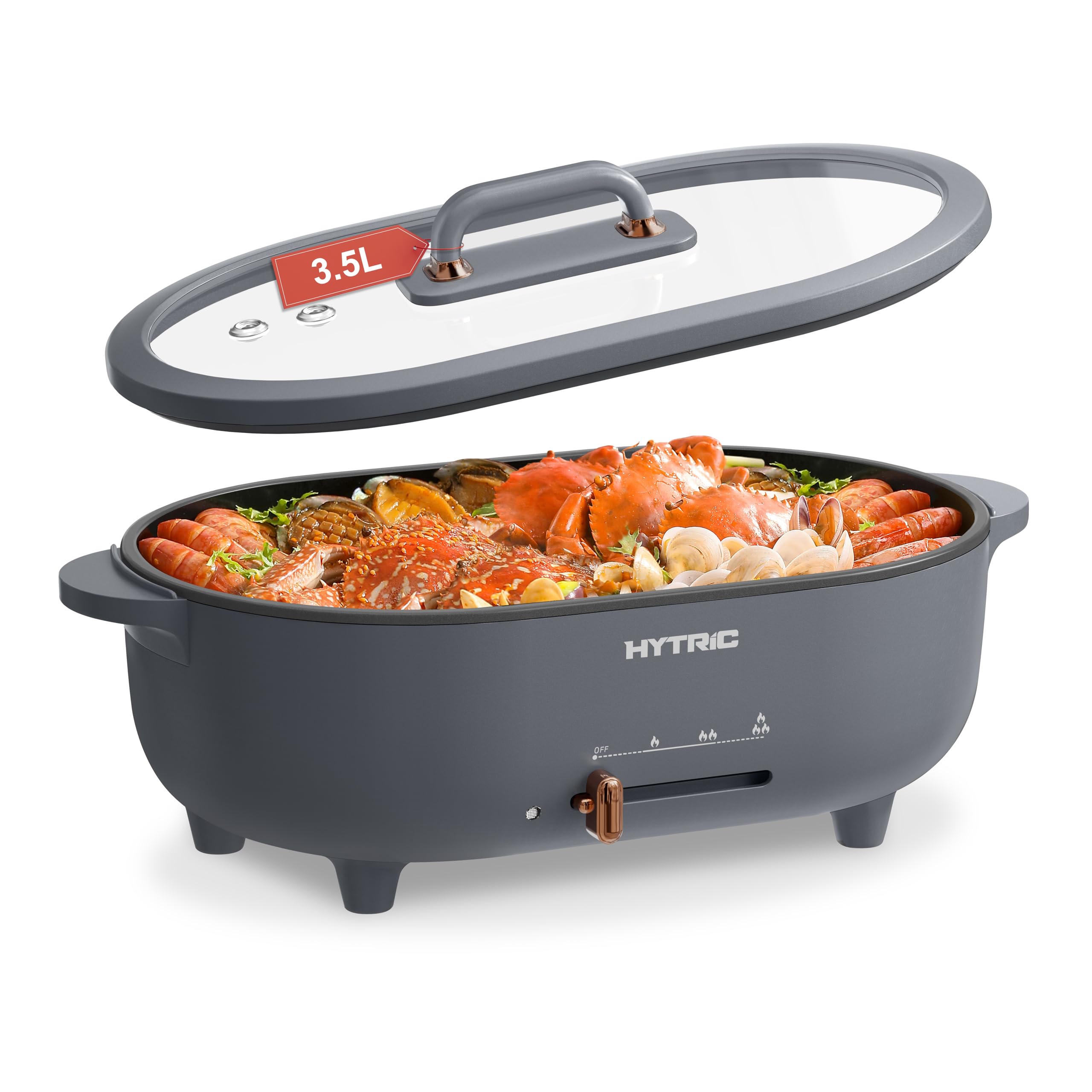 HYTRIC 3.5L Hot Pot Electric for Cooking, 110oz Electric Pot with Nonstick Coating, Multifunction Electric Cooker with Power Control for Shabu Shabu, Noodles, Sauté, BPA-FREE, Grey