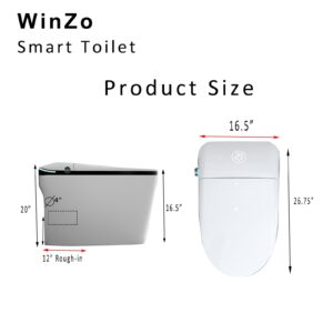 WinZo Luxury Rear Discharge Smart Toilet With Bidet Seat, Auto Flush,Warrm Adjusted Heated Seat, Warm Water and Dryer, Night Light,LED Display,Remote Control, Back Outlet, White