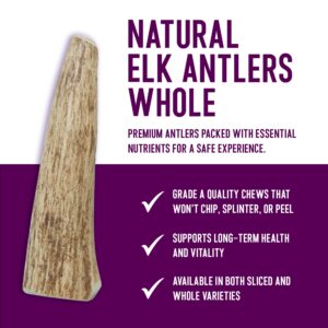 Health Extension Natural Elk Antlers for Dogs, Large Whole – Long-Lasting Chews for Aggressive Chewers, Dental Health Promotion, Ideal Puppy Training Treat