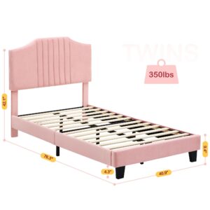 coucheta Twin Size Bed Frame - Velvet Upholstered Platform Bed Frame with Headboard for Girl Strong Wooden Slats Support, No Box Spring Needed, Noise-Free, Easy Assembly, Pink