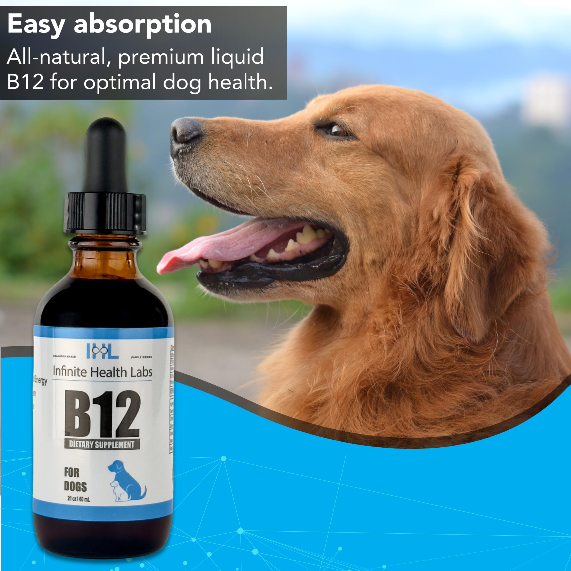 Liquid Vitamin B-12 for Dogs - Methylcobalamin Liquid Supplement for Pets - Dog Vitamins for Medium & Large Breed - Pet Vitamins and Supplements - Dog Multivitamins Liquid