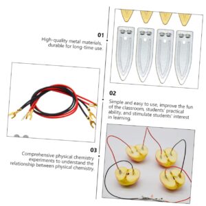 BCOATH 2 Sets Fruit Power Generation Experiment Equipment Best Chemical Experiment Material Scientific Experiment Supplies Lemons Toy Batteries Battery Zinc Copper Electrode Strips Metal