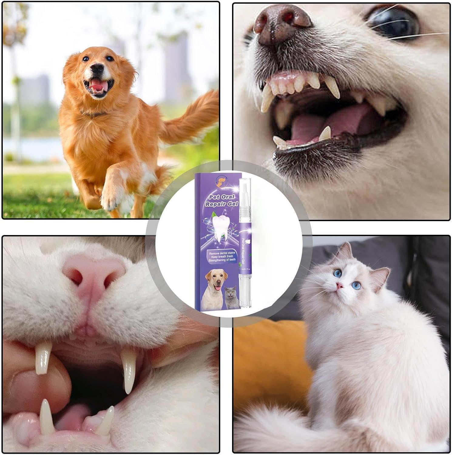 Pet Oral Repair Gel, Pet Oral Restoration Whitening Gel, Cat Dental Care, Dog Toothbrushes, Pet Teeth Care Gel Cleaner Teeth & Fresher Breath, Without Brushing, Suitable for Dogs and Cats (3Pcs)