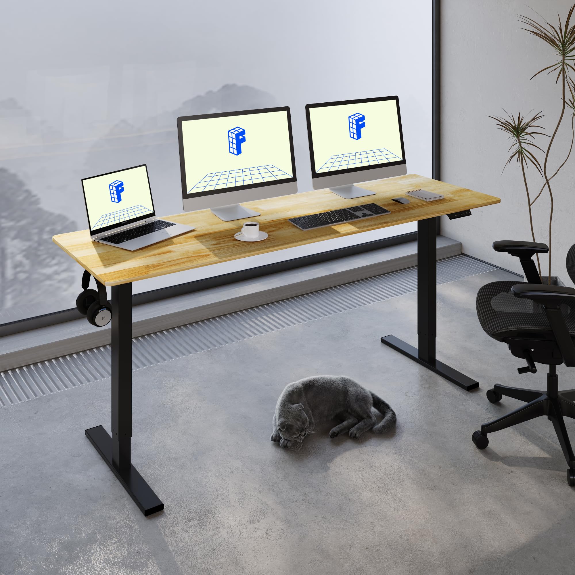 FLEXISPOT EN1 One-Piece Solid Wooden Standing Desk 63 x 24 Inches Height Adjustable Electric Sit Stand Home Office Desks (Black Frame + Rubber Wood Top, 2 Packages)