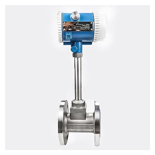 Flow Control Meter Compact Dn25 DN50 Liquid Flowmeter, Factory Gas Application Steam, Air Liquid Measure Flow Meter Used in Petroleum,Food, Etc. (Color : DN80, Size : 1)