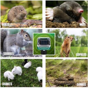 Solar Mole Repellent, 8 Pack Ultrasonic Mole Repellent Solar Powered, Waterproof Snake Vole Gopher Repellent for Garden & Yard (Green)