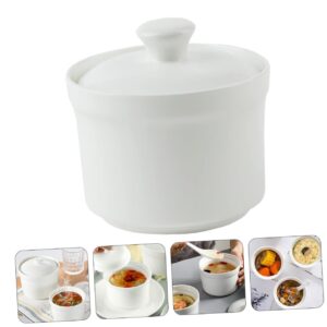 PRETYZOOM Ceramic Stew Pot Mr Noodles Japanese Miso Bowl Fruit Dish Oatmeal Soup Steam Oven Butter Warming Pot Tagine Sauces Cup Soup Pot with Lid Enamel on Steel Stock Pot Ceramics White