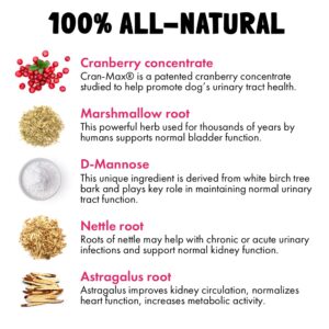 Cranberry UTI Chews for Dogs Bladder Suppot + D-Mannose Supports Kidney Urinary Tract 120 Chews and Probiotics for Dogs Natural Digestive Enzymes Prebiotics for Allergy 120 Chews