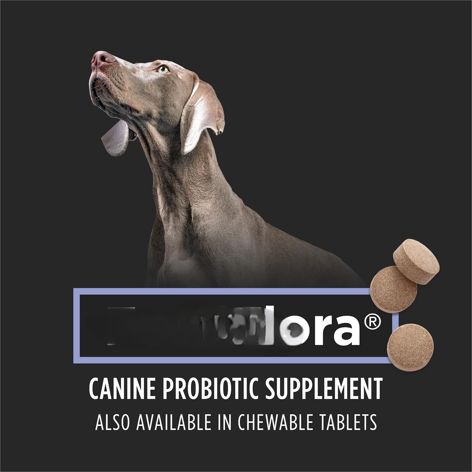 Pur na Pro Plan Veterinary Supplements for Flora Dog Probiotic Supplement, Ca ne Nutritional Supplement - 30 Ct. Box