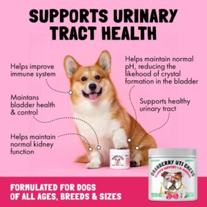 Cranberry UTI Chews for Dogs Bladder Suppot + D-Mannose Supports Kidney Urinary Tract 120 Chews and Probiotics for Dogs Natural Digestive Enzymes Prebiotics for Allergy 120 Chews