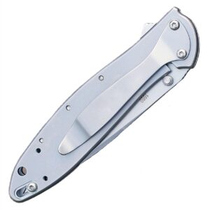 Shaw Leek Pocket Knife 3" - Speed and Safe Assisted Opening 14C28N Stainless Steel - 1660 Spring Assisted