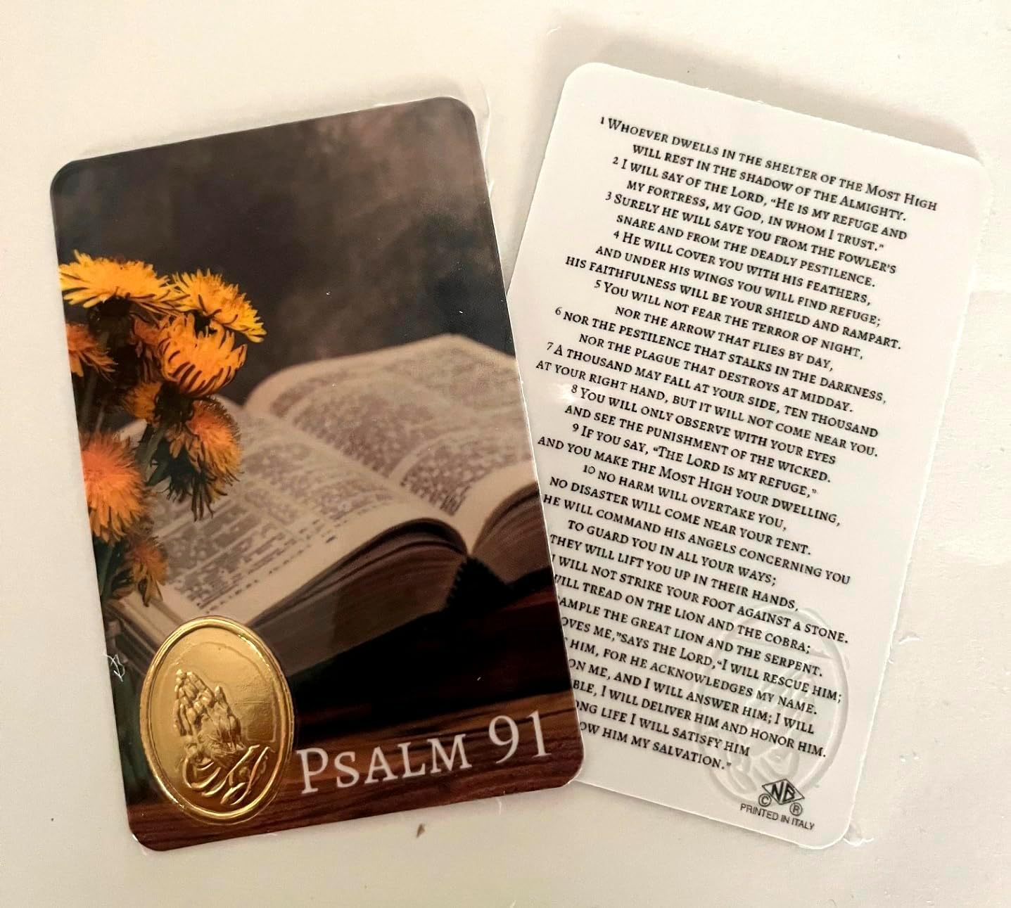 Psalm 91 Art Prayer Cards - Laminated 2-Sided Holy Prayer Cards with Inspirational Bible Verses - Christian Gifts for Friends - 25-Pack (3.25x2.25 in)