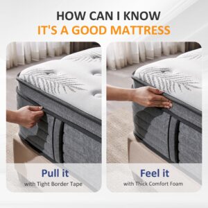 12 Inch Queen Mattress, Firm Supportive Mattress Designed with Tight Line & Thick Foam Edges for Back Sleepers & Stomach Sleepers, Euro Top Hybrid Memory Foam Mattress with Enhanced Pocket Spring