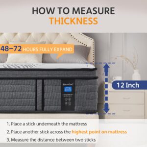 12 Inch Queen Mattress, Firm Supportive Mattress Designed with Tight Line & Thick Foam Edges for Back Sleepers & Stomach Sleepers, Euro Top Hybrid Memory Foam Mattress with Enhanced Pocket Spring