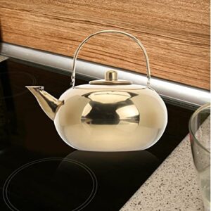 KICHOUSE Stainless Steel Pot Camping Cookware Infusers Retro Coffee Machine Espresso Coffee Kettle with Strainer Tea Kettle Gold Whistling Kettle Stove Top Kettle Milk Pan Teakettle Silver