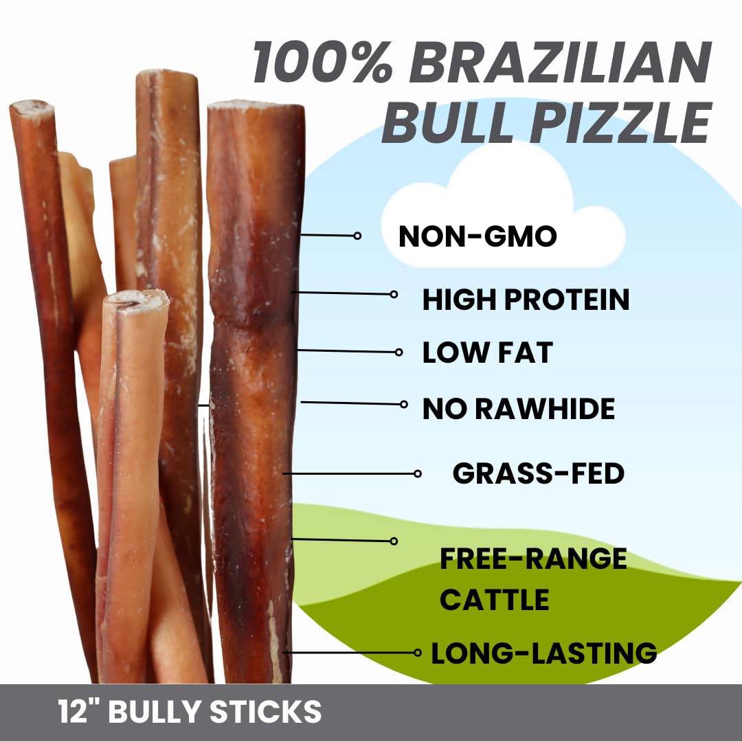 EXQUISITE PETS 12" Bully Sticks 3lb Bag Bulk 100% Brazilian Bull Pizzle Odorless Long Lasting No Grains or Rawhide Helps Relive Pet Boredom All Natural Dog Treats Wholesale Agressive Chewers