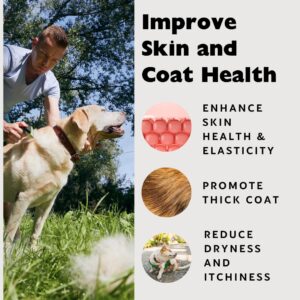 Nature's Diet Premium Beef Collagen Peptides Powder for Dogs & Cats, Joint & Skin Health Support