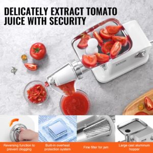 VEVOR Electric Tomato Strainer, 700W Tomato Sauce Maker Machine, 5.5 LBS/Min Food Strainer and Sauce Maker, Pure Copper Motor Food Mill with Reverse Function for Tomato Strawberry Blueberry Sauce