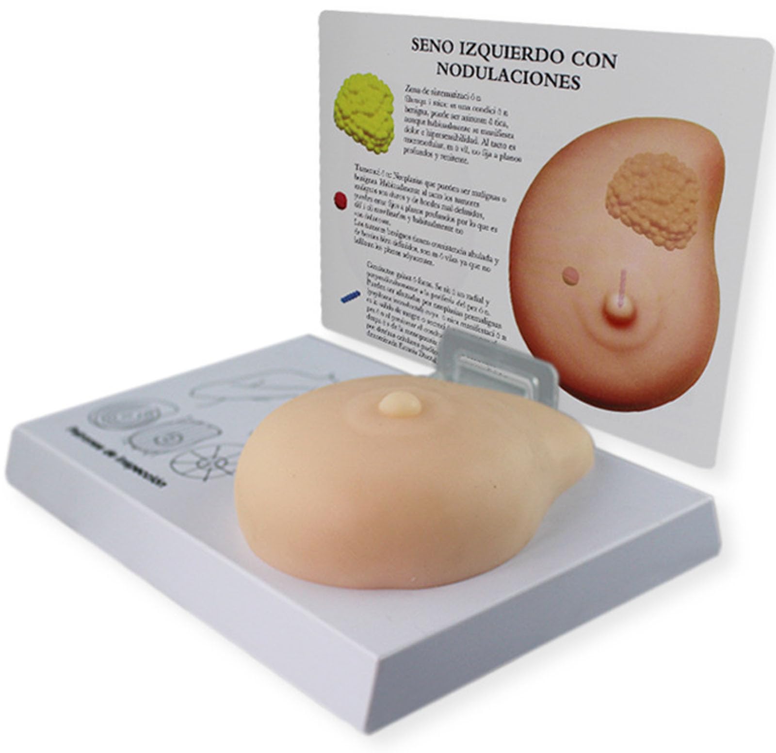 Silicone Breast Model Manikins Medical Teaching Soft Silicone Breast Model Pathological Single Breast Self-Examination Model with Benign Tumor Foreign Body