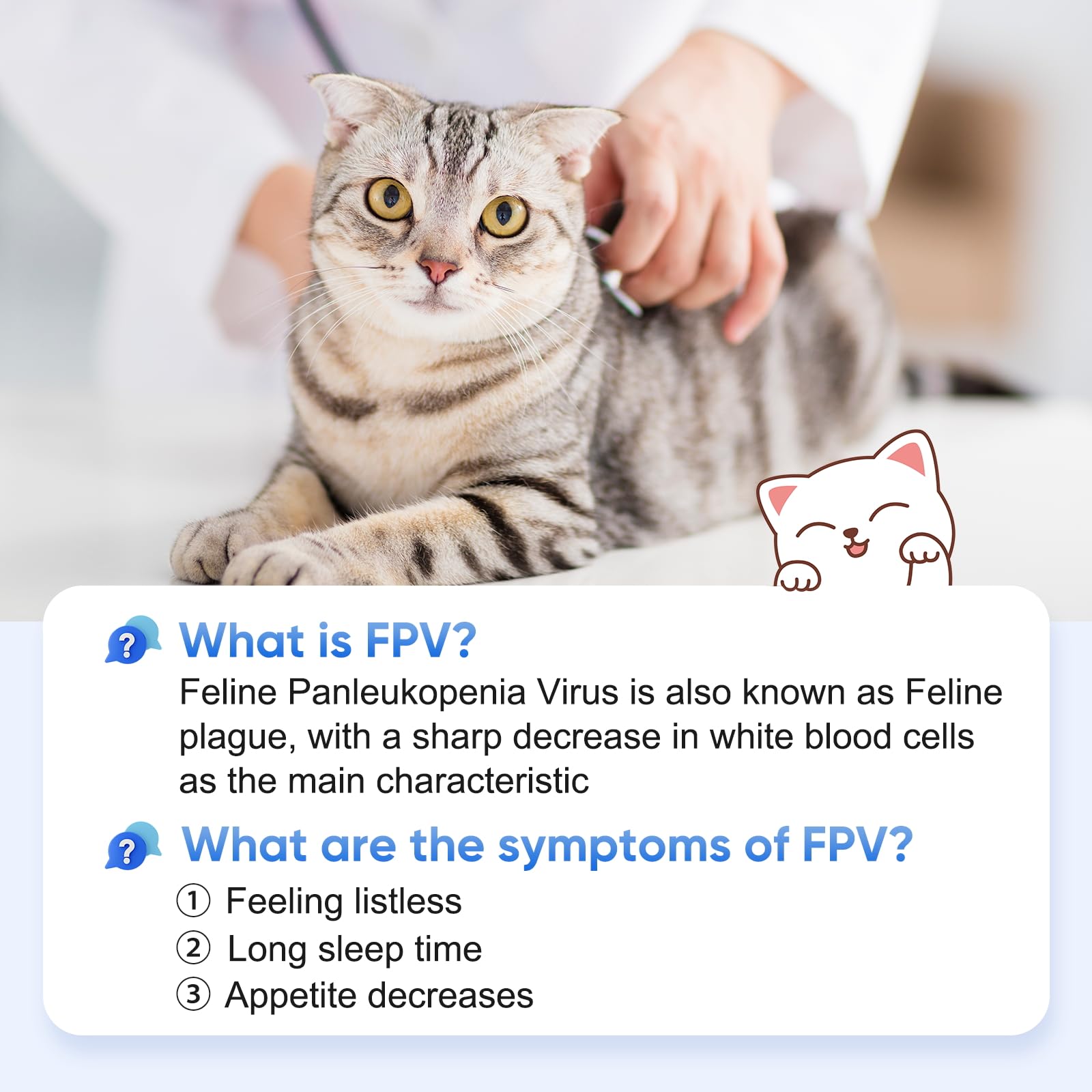 PawsXfun Cat Healthy FPV Test Kit for Cats - Accurate & Quick 5-Pieces Home Detection in Feces in 5-10 Minutes! Easy to Use Non-Invasive Early Diagnosis Tool Suitable for All Breeds & Ages