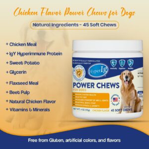 HyperIg Power Chews for Dogs - Chicken Flavor, IgY Hyperimmune Protein for Immune System Health, Joint Support, Stress & Anxiety Relief, and Healthy Skin & Coat – 45 Soft Chews - 113 Grams